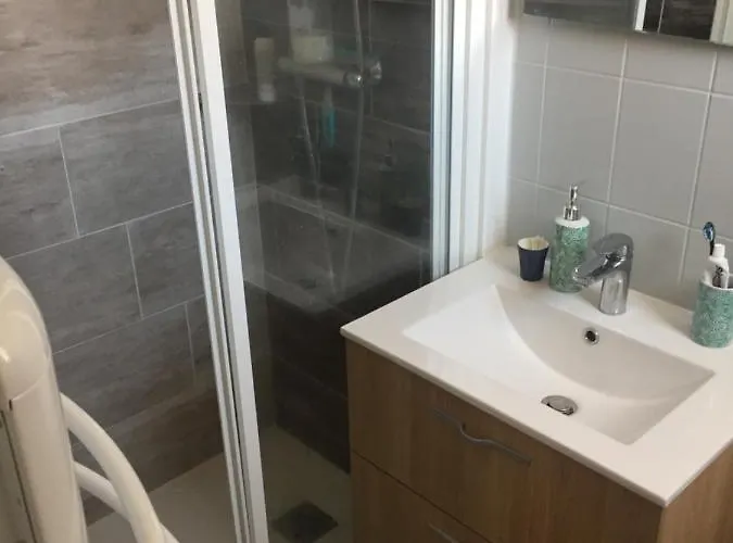 La Petite Grenouille Agde